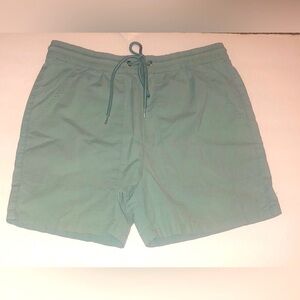 Pacsun Men's Green Drawstring Volley Shorts